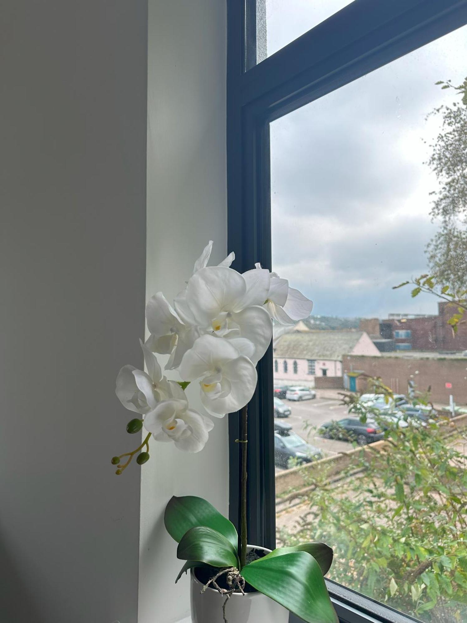 Sea View Apartment Whitehaven Esterno foto